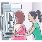 Маммография и УЗИ молочных желез: кому и что