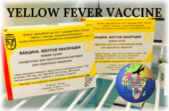 Вакцинация против желтой лихорадки международный сертификат