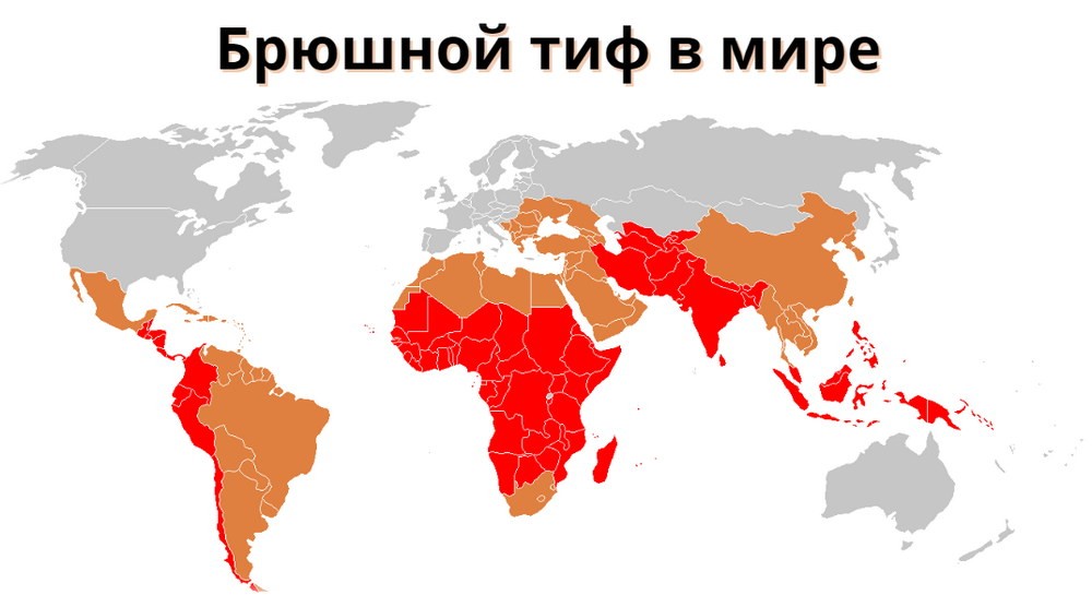 прививки перед поездкой от брюшного карта какие страны карта